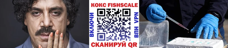 COCAIN FishScale Гусь-Хрустальный