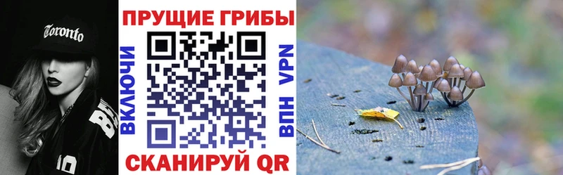 Псилоцибиновые грибы Magic Shrooms  Купить  Гусь-Хрустальный 